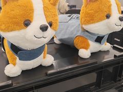 -M Stand(西安大悦城店)