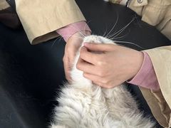 -嘉馨宠物医院·CT影像转诊·心脏科·犬猫全科诊疗中心(下沙大学城院区)
