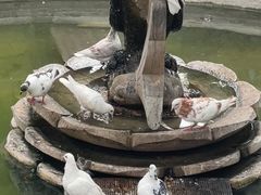 -西安大兴善寺