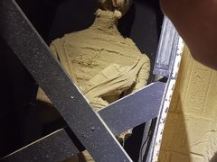 -秃鹫湾·推理大师沉浸式实景演绎推理剧场