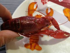 -霸王虾·麻辣小龙虾(清水河公园店)