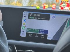 -荷兰花海
