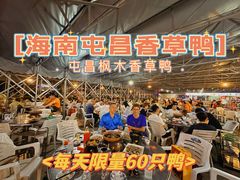 -盐禾堂海南屯昌香草鸭(总店)