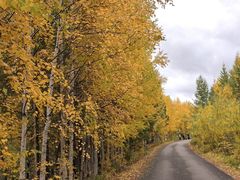 -莫尔道嘎国家森林公园