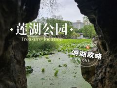 -莲湖公园