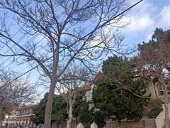 -八大关景区