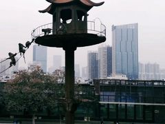 -昆明动物园