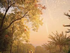 -杭州城北体育公园