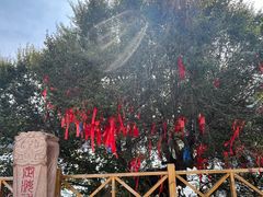 -天山天池风景区-西王母祖庙