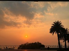 -宝安西湾红树林湿地公园