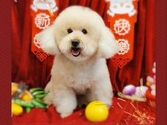 -喵汪宠物生活馆(涞坊路店)