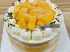 -山与蓝·轻糖鲜果蛋糕(勒泰店)