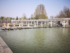 -石家庄市植物园