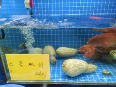 -醉壹号海鲜大排档(厦门美食地标店)