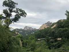 -无染寺