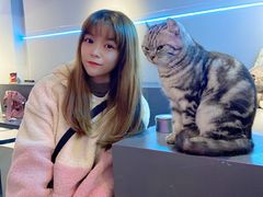 -极木²邸 人与宠物·互动社区