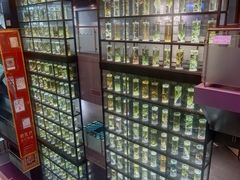 -广东中医药博物馆