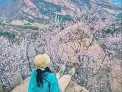 -妙峰山风景名胜区
