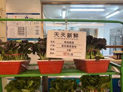 -山东宾馆·齐鲁苑餐厅