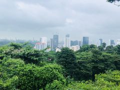 -花柏山公园