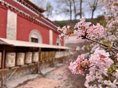 -塔尔寺