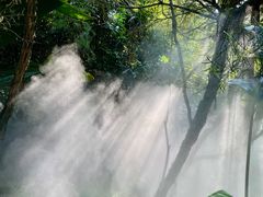 -厦门园林博览苑