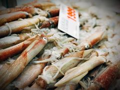 鱿鱼-悉尼鱼市场