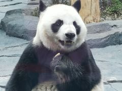 -秦皇岛野生动物园