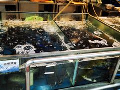 -农工商超市(金沙江路店)