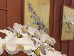 -LANN I 蘭·泰式古法按摩(高岛屋百货店)