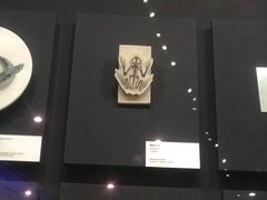 -北京周口店北京人遗址博物馆