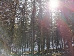 -硗碛藏寨·神木垒景区