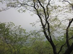 景色-北京鹫峰国家森林公园