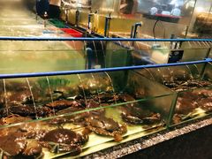 -Isla Sugbu Seafood City