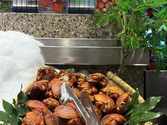 -初色海鲜自助(万丰路店)