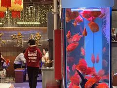 -朱光玉火锅馆(正弘城店)