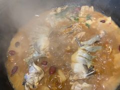 -桃源村铁锅炖鱼(体育馆道店)