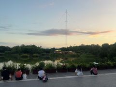 -福田红树林生态公园