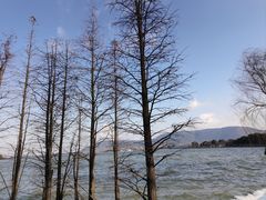 -尚湖风景区