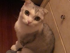 -北京恒爱动物医院(清景园分院)