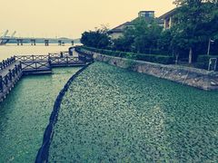 -蠡湖大桥公园