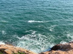 -广东惠东海龟国家级自然保护区