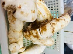 -菌粹源野生菌(木水花市场店)