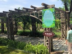-北京张裕爱斐堡酒庄