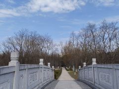 -昆山城市生态森林公园