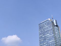 -鑫记婆婆兔·成都特产·兔头手撕兔(太古里店)