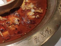 -新哥老官·畅吃123·美蛙世界(苏宁广场店)