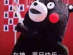 -珍巴奴毛肚牛肉小火锅(四惠店)