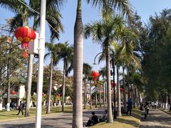 -厦门大学(思明校区)