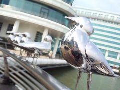 iphone_upload_pic-苏州金鸡湖中茵皇冠假日酒店
